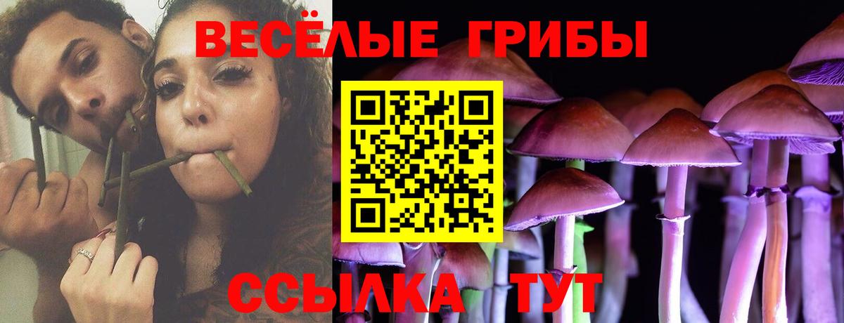 Галлюциногенные грибы Psilocybine cubensis Тулун